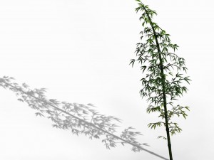 dazhu feng - black knot bamboo 02 3D Model