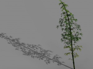 dazhu feng - black knot bamboo 02 3D Model