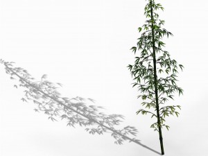 dazhu feng - black knot bamboo 02 3D Model