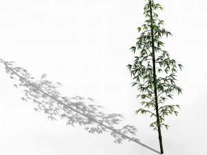 dazhu feng - black knot bamboo 02 3D Model