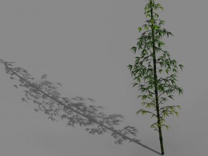 dazhu feng - black knot bamboo 02 3D Model