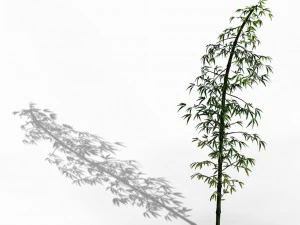 dazhu feng - black knot bamboo 02 3D Model