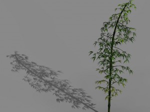dazhu feng - black knot bamboo 02 3D Model