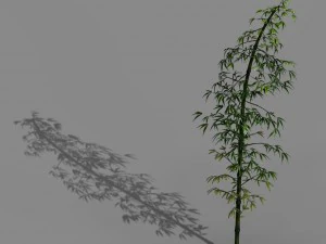 dazhu feng - black knot bamboo 02 3D Model