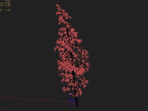 dazhu feng - black knot bamboo 02 3D Model