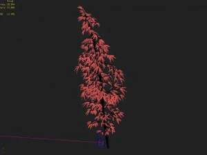 dazhu feng - black knot bamboo 02 3D Model
