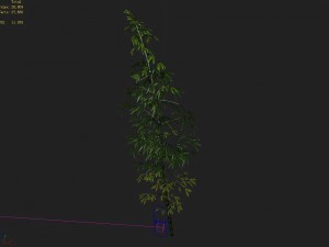 dazhu feng - black knot bamboo 02 3D Model