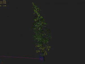 dazhu feng - black knot bamboo 02 3D Model