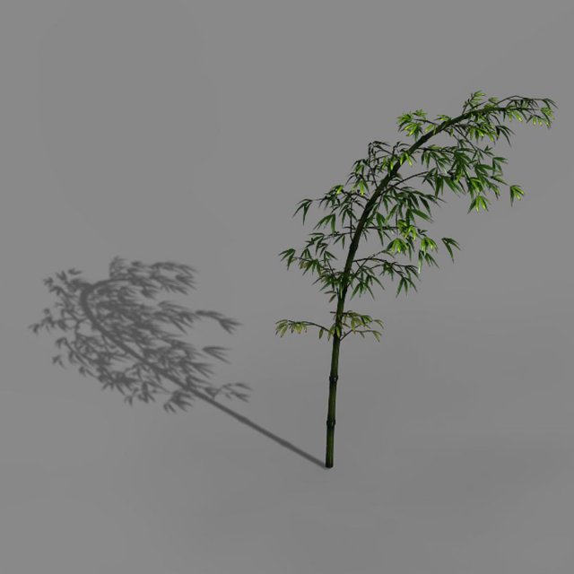 dazhu feng - black knot bamboo 03 3Dモデル .c4d .max .obj .3ds .fbx .stl .blend 