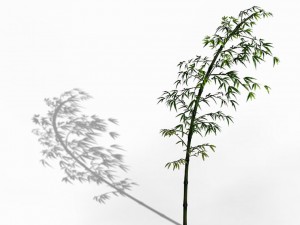 dazhu feng - black knot bamboo 03 3Dモデル