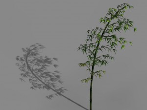 dazhu feng - black knot bamboo 03 3Dモデル