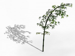 dazhu feng - black knot bamboo 03 3Dモデル
