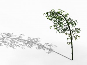 dazhu feng - black knot bamboo 03 3Dモデル