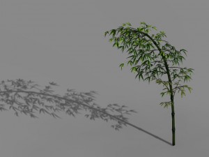 dazhu feng - black knot bamboo 03 3Dモデル