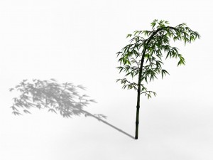 dazhu feng - black knot bamboo 03 3Dモデル