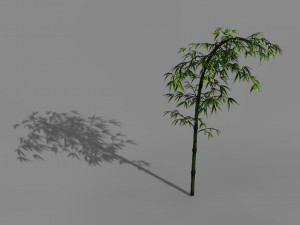 dazhu feng - black knot bamboo 03 3Dモデル