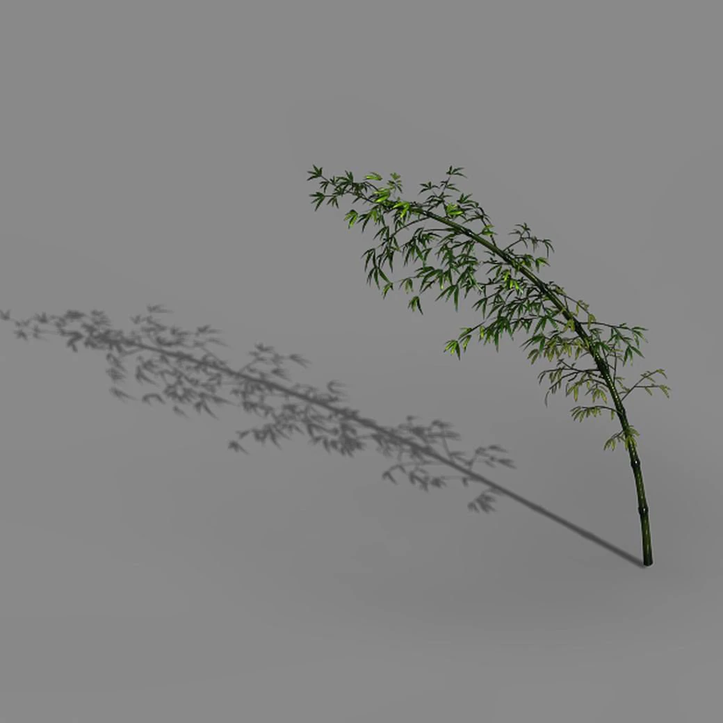 dazhu feng - black knot bamboo 04 3D Model .c4d .max .obj .3ds .fbx .stl .blend 