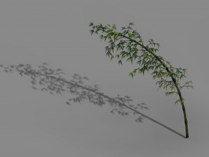 dazhu feng - black knot bamboo 04 3Dモデル