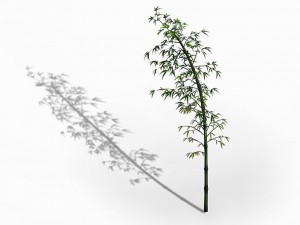 dazhu feng - black knot bamboo 04 3D Модель