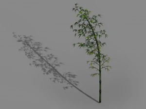 dazhu feng - black knot bamboo 04 3D Model