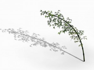 dazhu feng - black knot bamboo 04 3D Модель