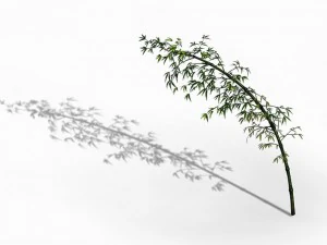 dazhu feng - black knot bamboo 04 3D Model