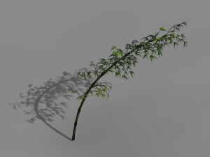 dazhu feng - black knot bamboo 04 3D Модель