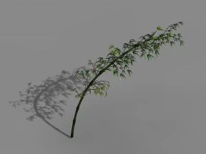 dazhu feng - black knot bamboo 04 3D Model
