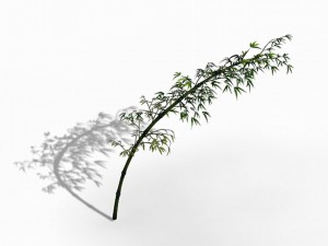 dazhu feng - black knot bamboo 04 3D Модель