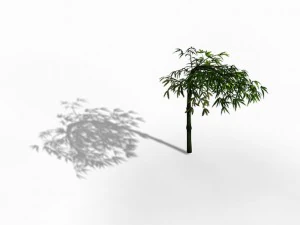 dazhu feng - black knot bamboo 04 3D Model