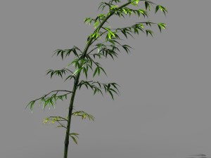 dazhu feng - black knot bamboo 05 3D Model