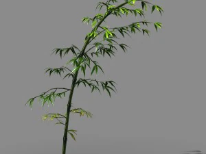 Dazhu Feng &ndash; Bambus mit schwarzem Knoten 05 3D Modell