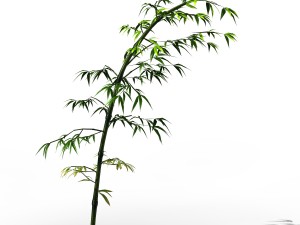 dazhu feng - black knot bamboo 05 3D Модель
