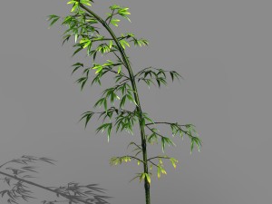 dazhu feng - black knot bamboo 05 3D Модель