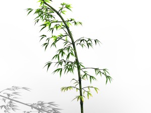 dazhu feng - black knot bamboo 05 3D Модель