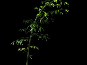 dazhu feng - black knot bamboo 05 3D Модель