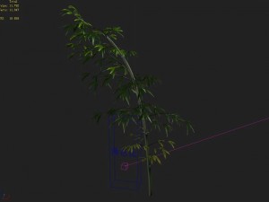 dazhu feng - black knot bamboo 05 3D Модель
