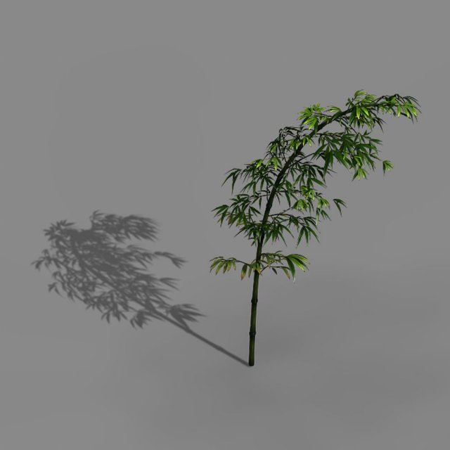 dazhu feng - black knot 06 Model 3D .c4d .max .obj .3ds .fbx .stl .blend 