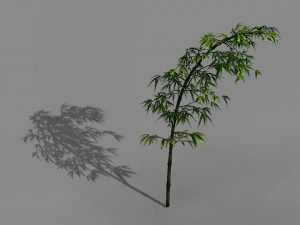 dazhu feng - black knot 06 3D Model