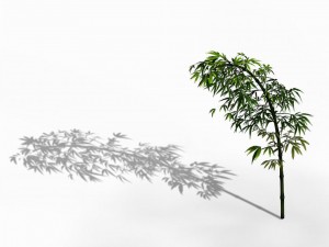 dazhu feng - black knot 06 Model 3D