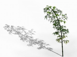 dazhu feng - black knot 06 Model 3D