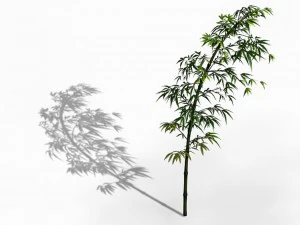 dazhu feng - black knot 06 3D Model
