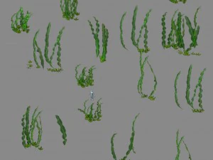 seabed plant - kelp 01 3D Model