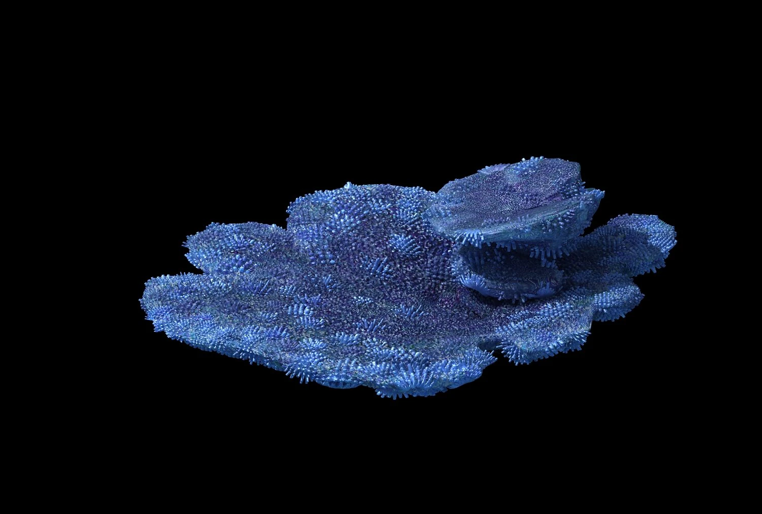 seabed - coral 73 3D Model .c4d .max .obj .3ds .fbx .stl .blend 