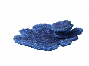 seabed - coral 73 Model 3D
