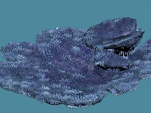 seabed - coral 73 Model 3D