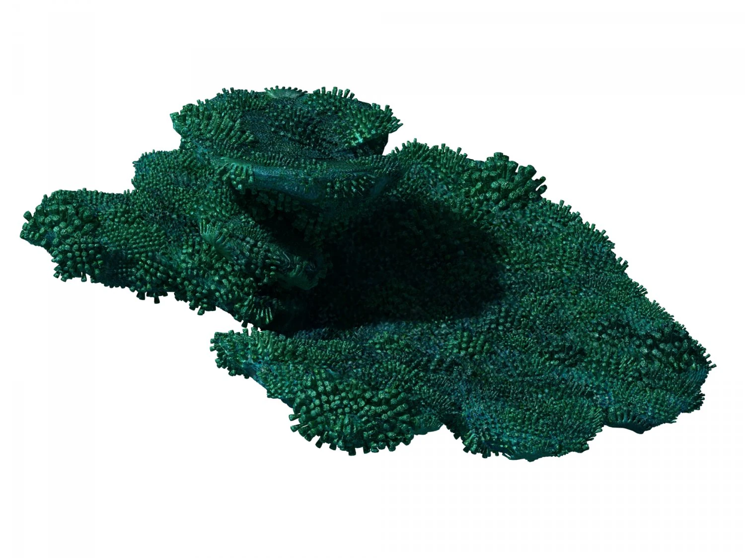 seabed - coral 74 3D Model .c4d .max .obj .3ds .fbx .stl .blend