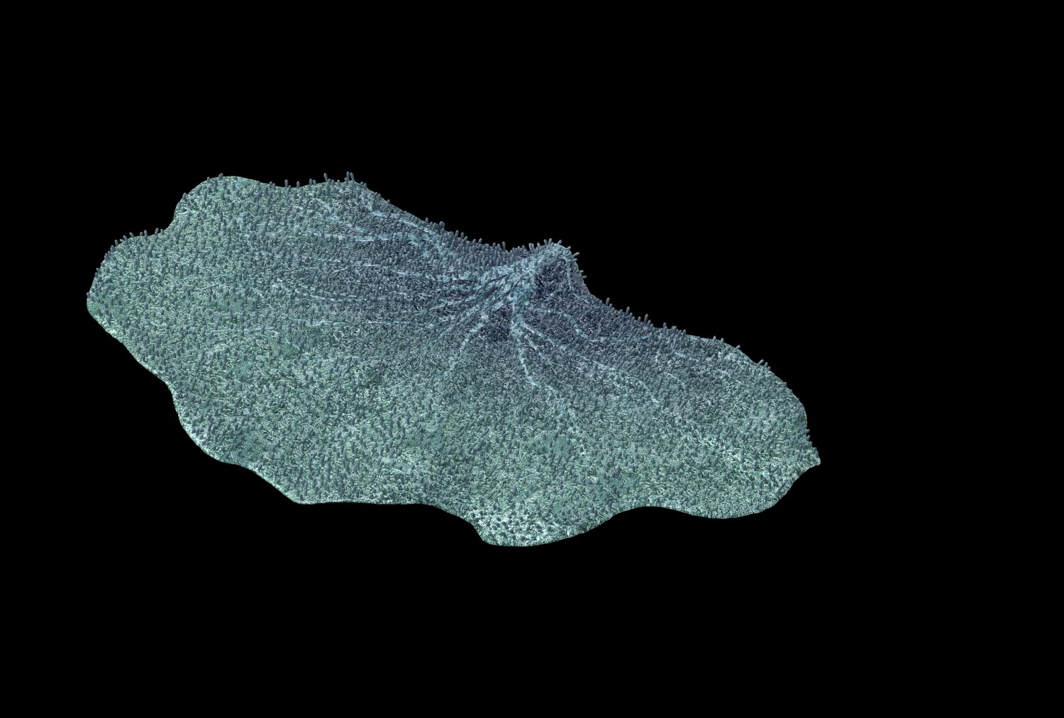 seabed - coral 75 3D Model .c4d .max .obj .3ds .fbx .stl .blend
