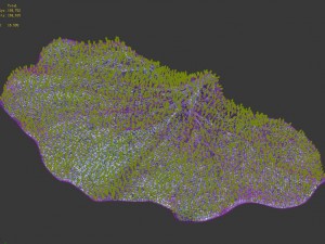 seabed - coral 75 Model 3D