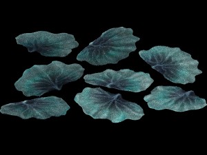 seabed - coral 76 3D 模型